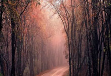 PG模拟器官网：亚冬会丨高亭宇收获个人第二金 中国队选手包揽速滑女子3000米前三2025-02-10.