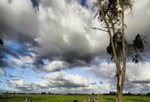 PG模拟器官网：记者：墨西哥老虎考虑5002000万美元报价马竞前锋科雷亚.