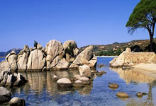 英格兰球迷点评图赫尔首秀战：不好不坏吧！索斯盖特的比赛好看些.